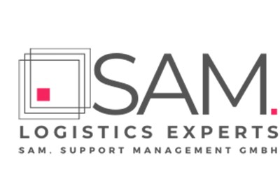 e-com Global Consulting